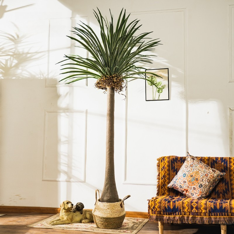 Real-Touch Dracaena Artificial - Baby Clothing Store recension och pris